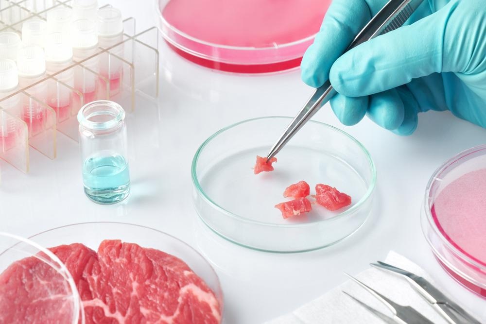 Lab-Grown Meat in Stores: A Comprehensive&nbsp;Overview
